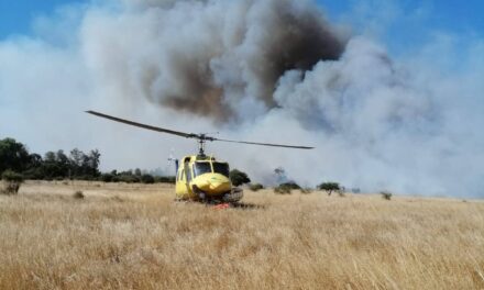 Declaran en Alerta Roja por Incendio Forestal en la comuna de Marchigüe