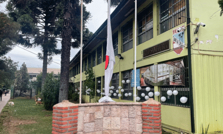 Fallece Alumno de Enseñanza Media que atento con su vida al interior de Establecimiento Educacional de Santa Cruz.