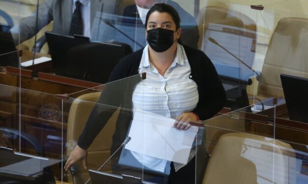 Diputada Natalia Romero destaca proyecto de ley que garantiza el acceso a productos para el ciclo menstrual