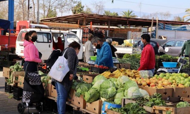 Gobernador Regional busca modernizar ferias libres de toda la Región de O’Higgins