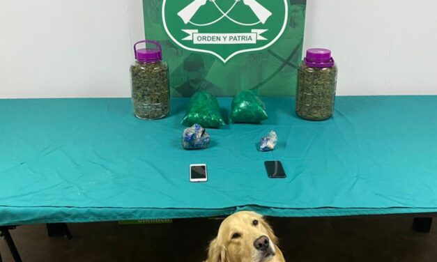 Tres detenidos y más de 3 kilos de droga decomisó Carabineros en controles a buses en la ruta 5 sur