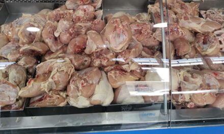 Seremi de Salud decomisa más de 760 Kilos de pollo no apto para el consumo humano