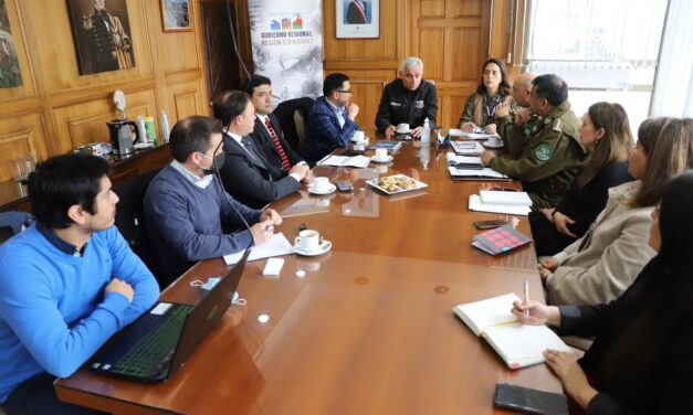 Gobernador Pablo Silva Amaya: “Queremos transformar a O’Higgins en la región más segura del país