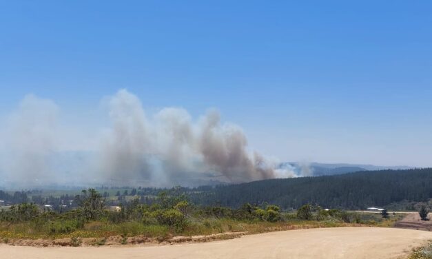 Delegación Presidencial Regional: Entrega informe Regional de Incendios Forestales.