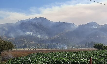 ONEMI: Resumen nacional de incendios forestales