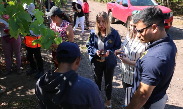 Gobierno fiscalizó condiciones laborales de trabajadores agrícolas en Nancagua