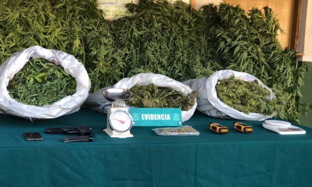 Duro golpe de Carabineros al tráfico de drogas en Cardenal Caro