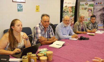 Gobierno Regional inició trabajo con apicultores de cara al Congreso Mundial Apícola que se realizará este año en Chile