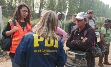 Diez denunciados tras fiscalización migratoria en Chépica