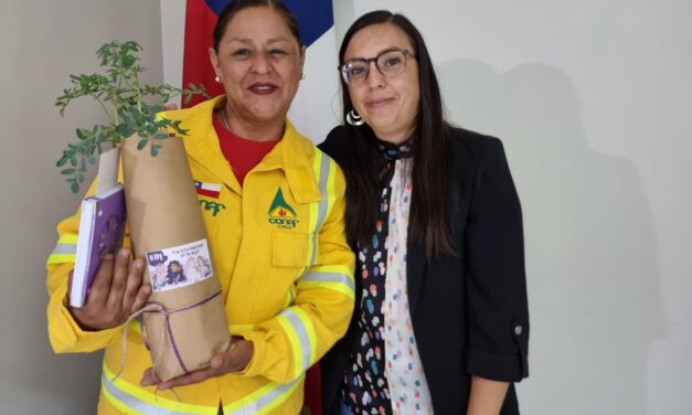 8M: Delegación Presidencial de Colchagua destacó a mujeres de la provincia