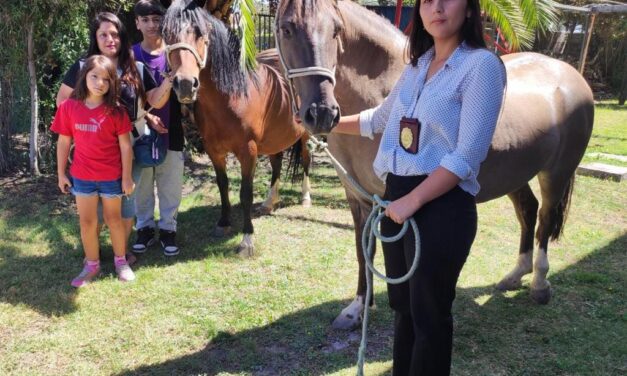 Funcionario de la PDI recuperó dos caballos robados en Rancagua