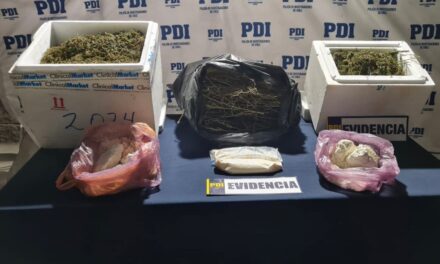 PDI incautó casi 10 kilos de droga desde vivienda machalina.