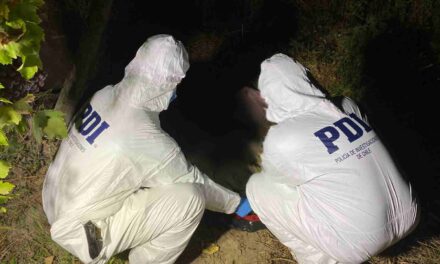 Nancagua: PDI investiga inhumación ilegal de lactante de tres meses