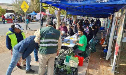 Gobierno En Terreno: Servicios públicos estuvieron presentes en la Feria Libre de Manso de Velasco
