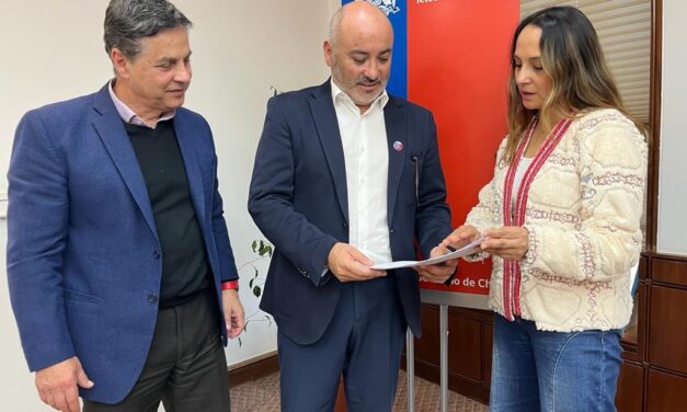 Diputada Carla Morales y autoridades locales expusieron problemas en el transporte público de San Fernando al subsecretario de la cartera