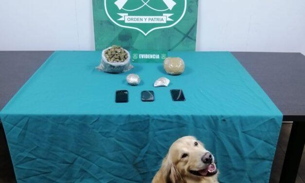 Nuevamente Gazam, perro del OS7, detectó pasajeros con droga en buses interurbanos