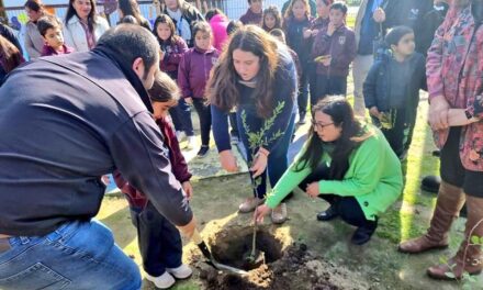 DPP Colchagua celebró el Día del Medio Ambiente en escuela rural de Chépica
