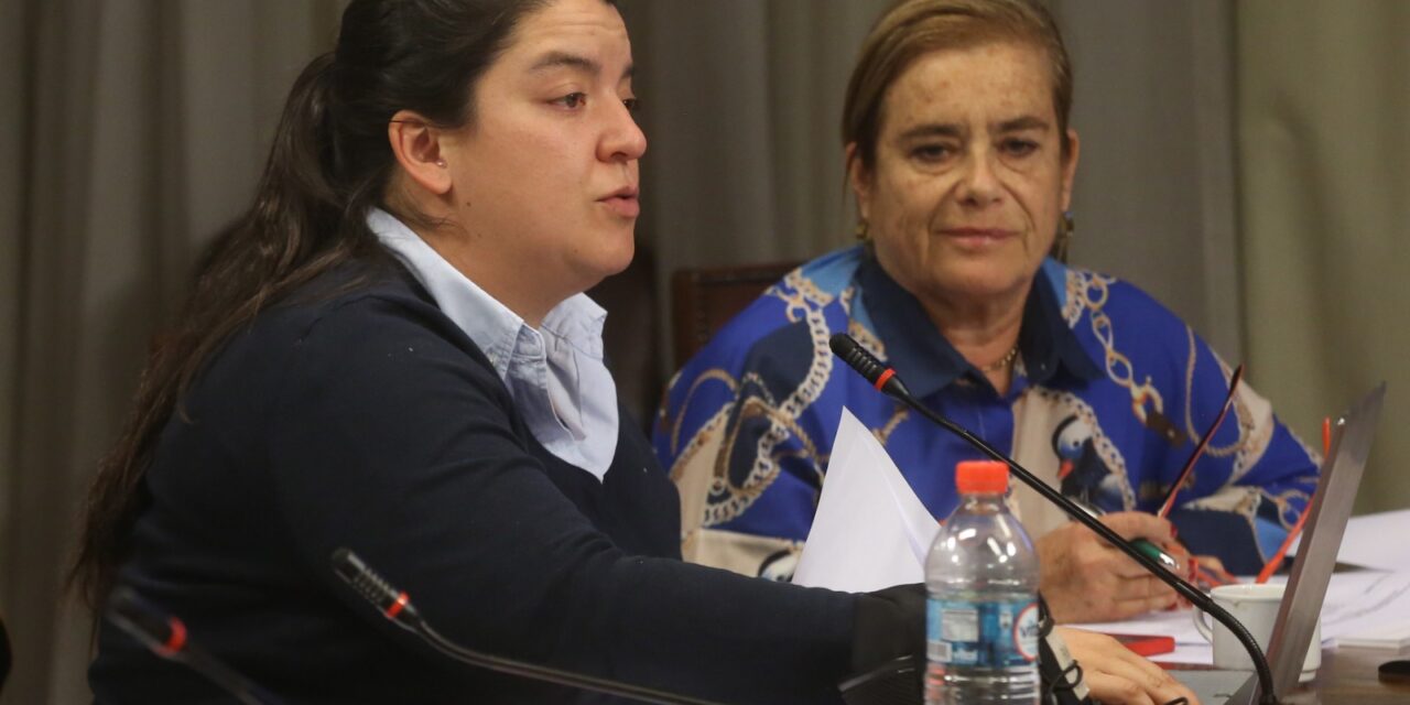 Diputada Romero presenta proyecto para extender postnatal de emergencia: “No podemos abandonar a las madres y sus hijos en medio de esta crisis”