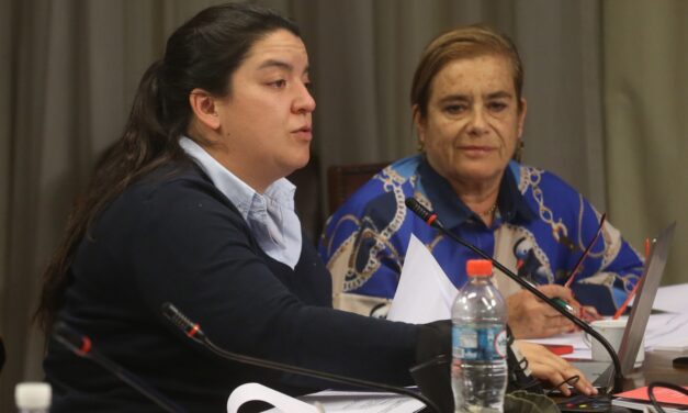 Diputada Romero presenta proyecto para extender postnatal de emergencia: “No podemos abandonar a las madres y sus hijos en medio de esta crisis”