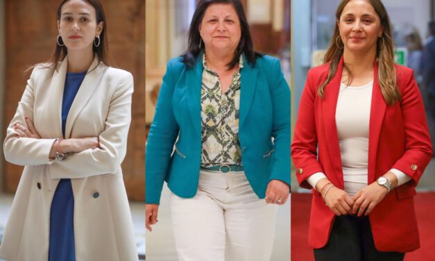 Ante crisis sanitaria por virus sincicial: Diputadas RN piden al gobierno implementar teletrabajo para las madres trabajadoras y que alargue el posnatal de emergencia