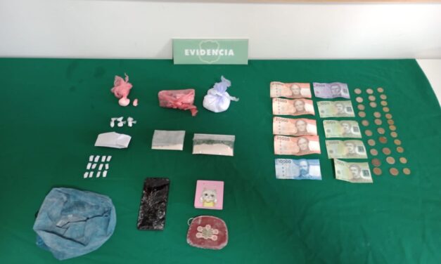 Seis detenidos y distintas drogas decomisadas en procedimiento de Carabineros junto al perro Gazam