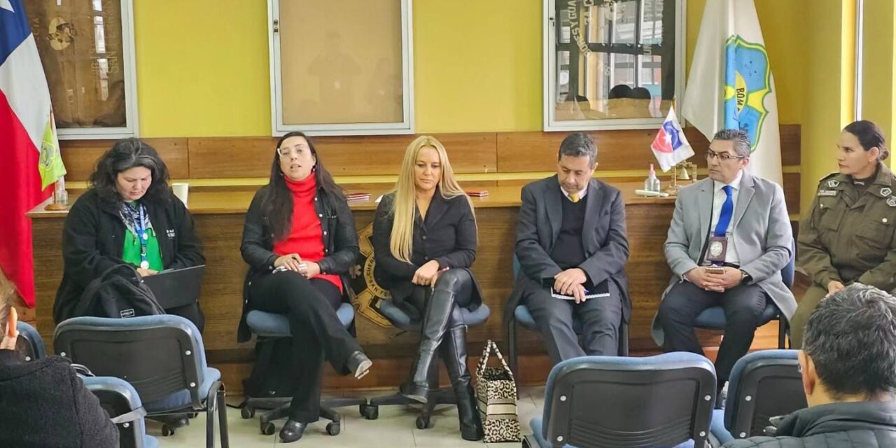 Colchagua conformó mesa provincial de seguridad para el sector salud