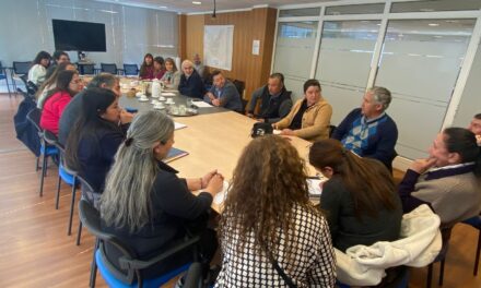 Diputada Romero respalda a vecinos de Tuniche y La Moranina y emplaza al MOP a transparentar si mejoramiento de rutas H-10 y H-210 considera la expropiación de sus terrenos