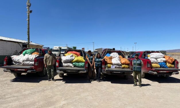 SAG ha interceptado más de 77 toneladas de papas que ingresan de manera ilegal al país