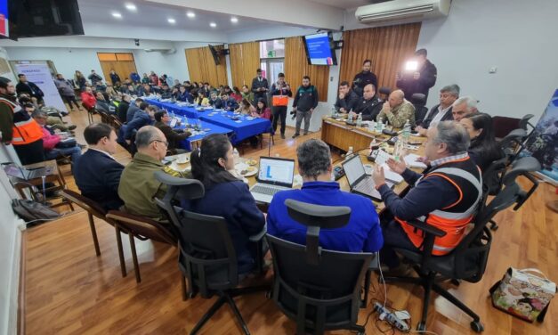 Delegación Presidencial realizó COGRID ampliado preventivo de Incendios Forestales