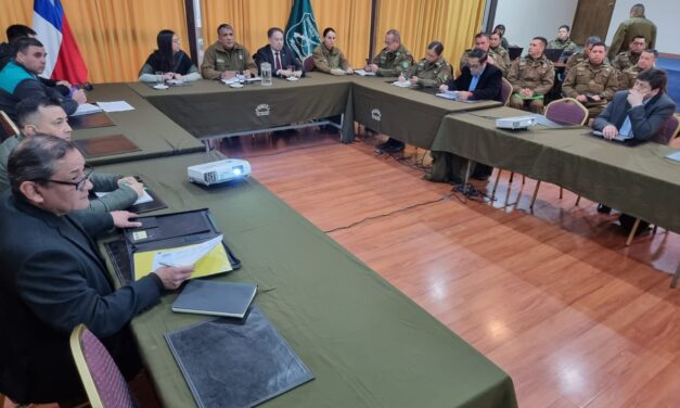 Delegada Presidencial invita a celebrar las Fiestas Patrias con responsabilidad en Colchagua