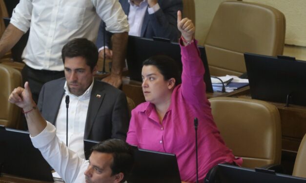 Aprueban proyecto de la diputada Natalia Romero que busca proteger a las víctimas de violencia intrafamiliar en las relaciones de pololeo