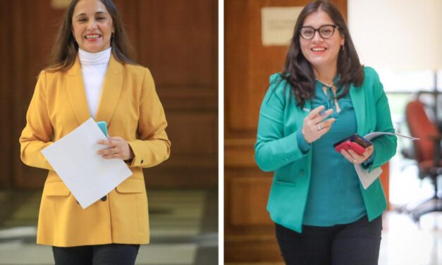 Diputadas de oposición piden aclarar si Karamanos sigue teniendo algún vínculo formal en el Gobierno