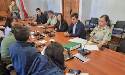 Delegada Presidencial se reunió con Cámara de Comercio de Santa Cruz para abordar temas de seguridad