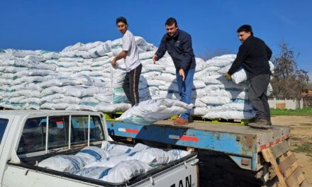 Más de 9.200 millones de pesos en ayudas entregó Agricultura a afectados por temporales del pasado invierno en O’Higgins