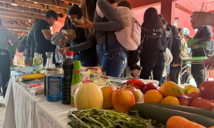 Programa de Alimentación Escolar realizará compras a productores locales y Agricultura Familiar Campesina de la Región de O´Higgins