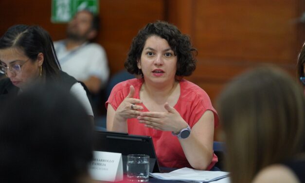 Ministra Toro presenta Plan de Reconstrucción regional de O’Higgins con énfasis en la recuperación productiva