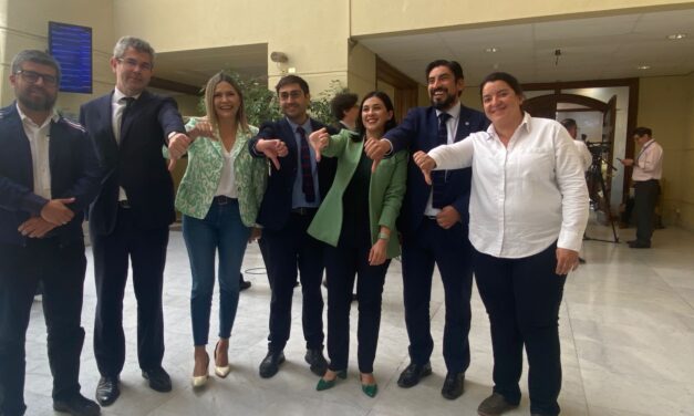 Diputada Natalia Romero llama al Gobierno a renegociar contratos eléctricos ante posible aumento de hasta un 88% en las cuentas de la luz