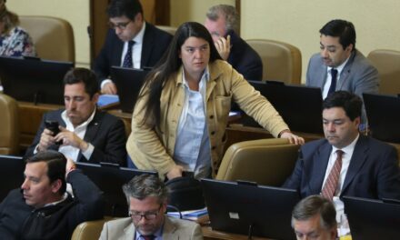 Diputada Natalia Romero logra que la comisión de Seguridad Ciudadana cite a la ministra de la Mujer para abordar últimos femicidios en Chile