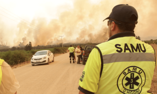 SS O’Higgins establece acciones de gestión de riesgo para el combate de incendios forestales