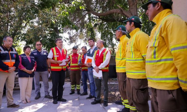 Ministro Valenzuela da cuenta de que gran parte de incendios que afectan a la región de O´Higgins están contenidos
