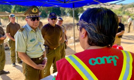 Incendios Forestales: General director de Carabineros visitó la Región para interiorizarse de la emergencia