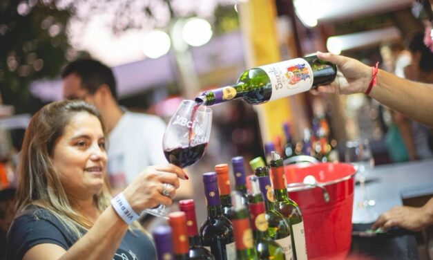 Ven a disfrutar de la mejor  Fiesta de la Vendimia,&nbsp; en el corazón del Valle del Colchagua: SANTA CRUZ&nbsp;