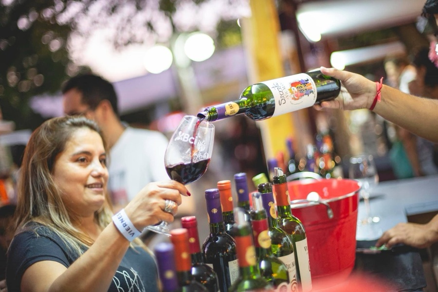 Ven a disfrutar de la mejor  Fiesta de la Vendimia,&nbsp; en el corazón del Valle del Colchagua: SANTA CRUZ&nbsp;