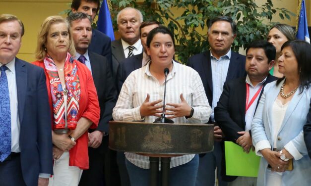Cámara aprueba proyecto de la diputada Natalia Romero que prohíbe a tribunales divulgar datos personales de víctimas de violencia intrafamiliar