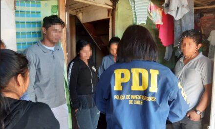 San Fernando: 17 extranjeros en situación migratoria irregular identificó la PDI