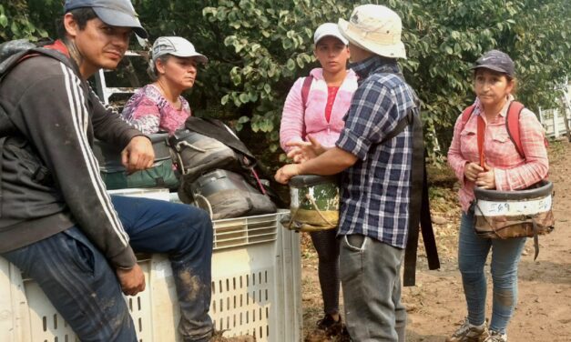 Desempleo en la Región de O’Higgins vuelve a bajar en 12 meses y se ubicó en 8,3% durante el último trimestre