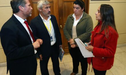 Mosca de la fruta: Diputados Romero, Morales y Cornejo se reúnen con director nacional del SAG para solicitar medidas urgentes en la zona