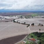 Efectos del temporal en el Agro: Expertos de INIA Rayentué entregan recomendaciones