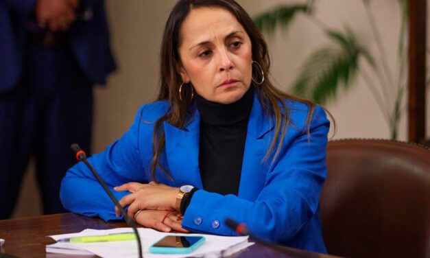 Diputada Carla Morales pide rebajar tarifas eléctricas para Servicios Sanitarios Rurales