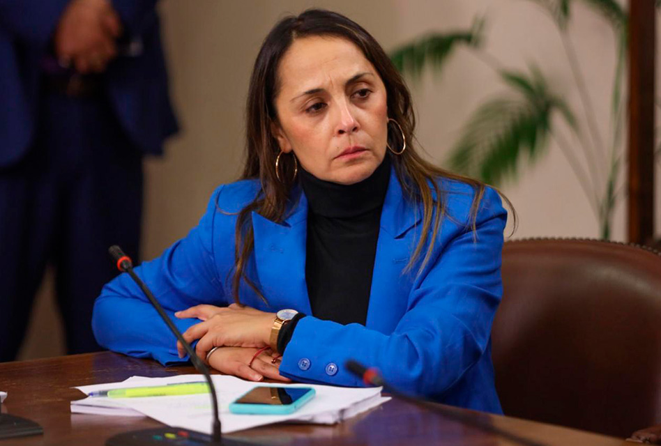Diputada Carla Morales pide rebajar tarifas eléctricas para Servicios Sanitarios Rurales